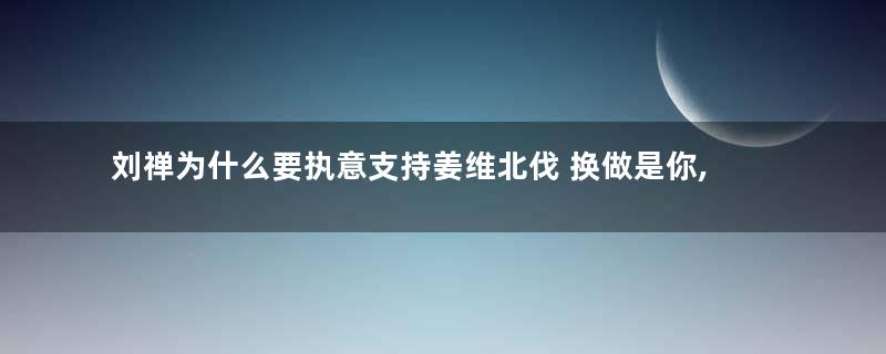 刘禅为什么要执意支持姜维北伐 换做是你,你也会支持的